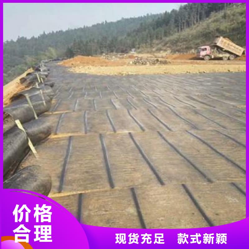 单向塑料土工格栅咨询
