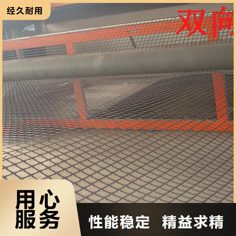 专业山东塑料格栅_厂家直销_山东塑料格栅_优质供应商塑料网养鸡塑料围网养殖黑色塑料网结实耐用养殖塑料网1-6米宽