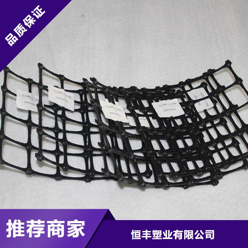 塑料格栅_多年老厂_大量现货出售