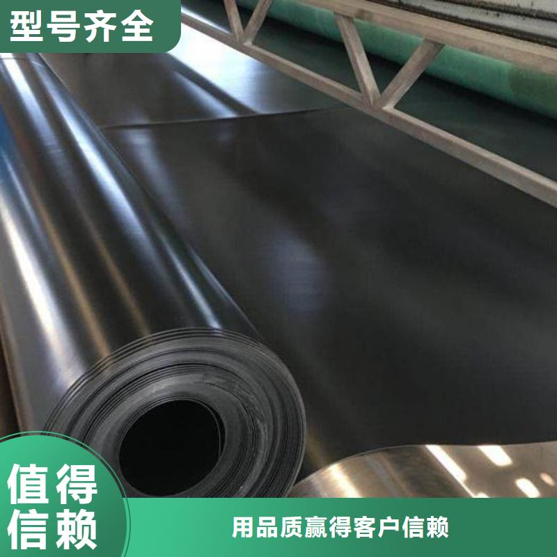 土工膜【凸结点钢塑土工格栅】厂家自营