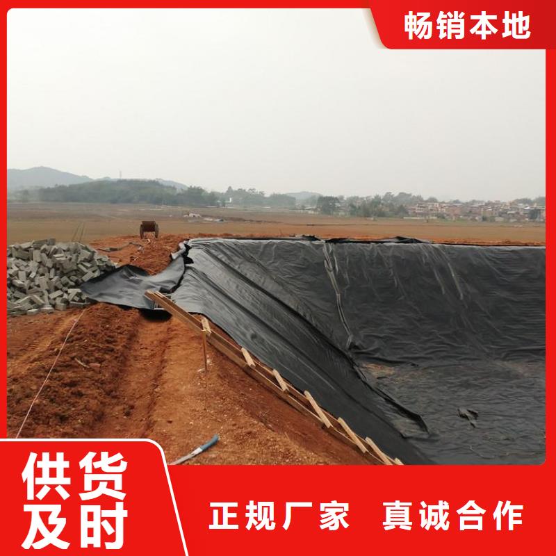 防渗土工膜/土工膜多少钱