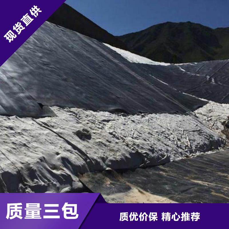 土工膜【凸结点钢塑土工格栅】厂家自营