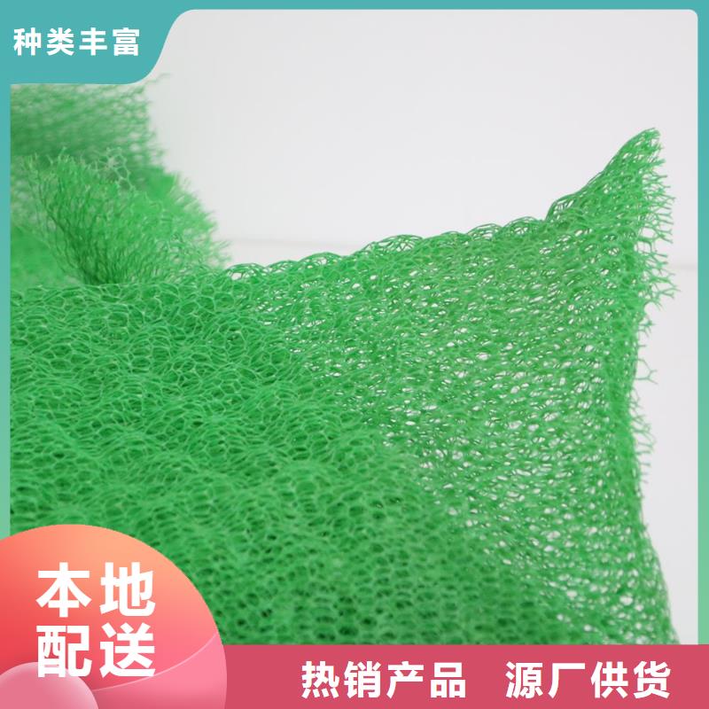 【三维植被网】三维植被网原理,三维植被网施工,特点,图片