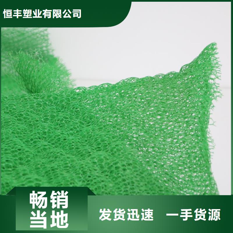 三维植被网凸结点钢塑土工格栅厂家供应