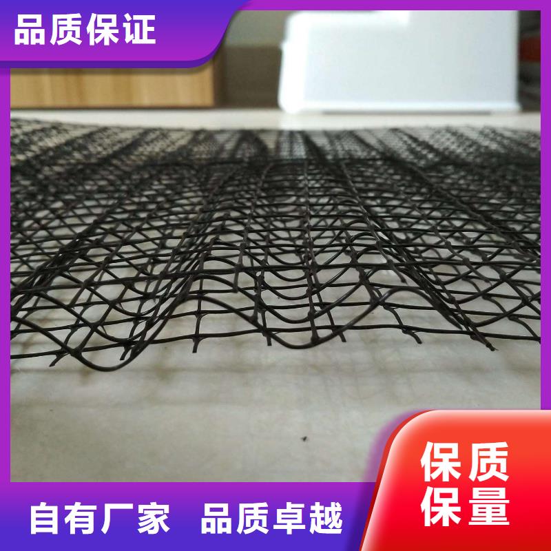 三维植被网凸结点钢塑土工格栅厂家供应