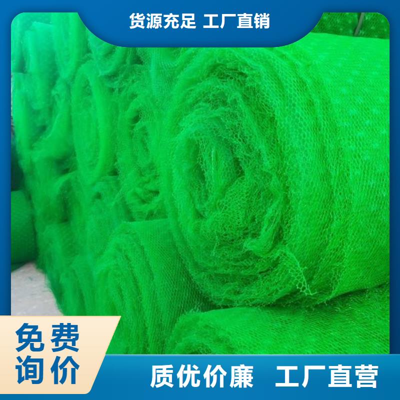 济源市三维植被网-HDPE防渗膜价格_土工格室厂家批发_土工膜生产