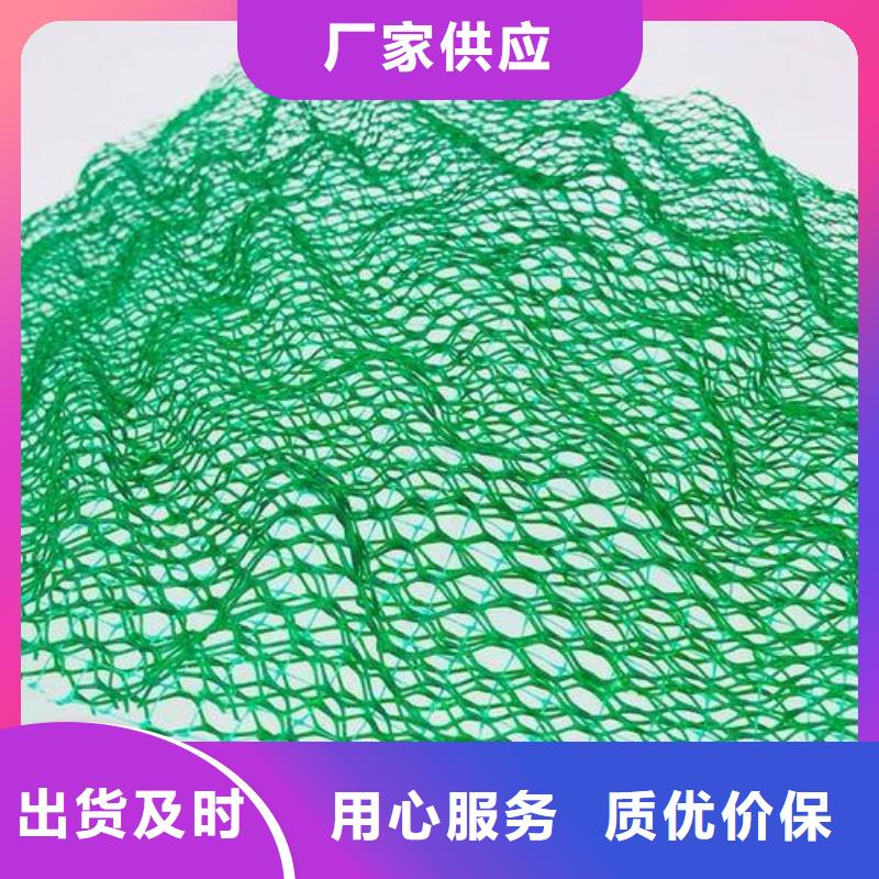 【三维植被网】三维植被网原理,三维植被网施工,特点,图片