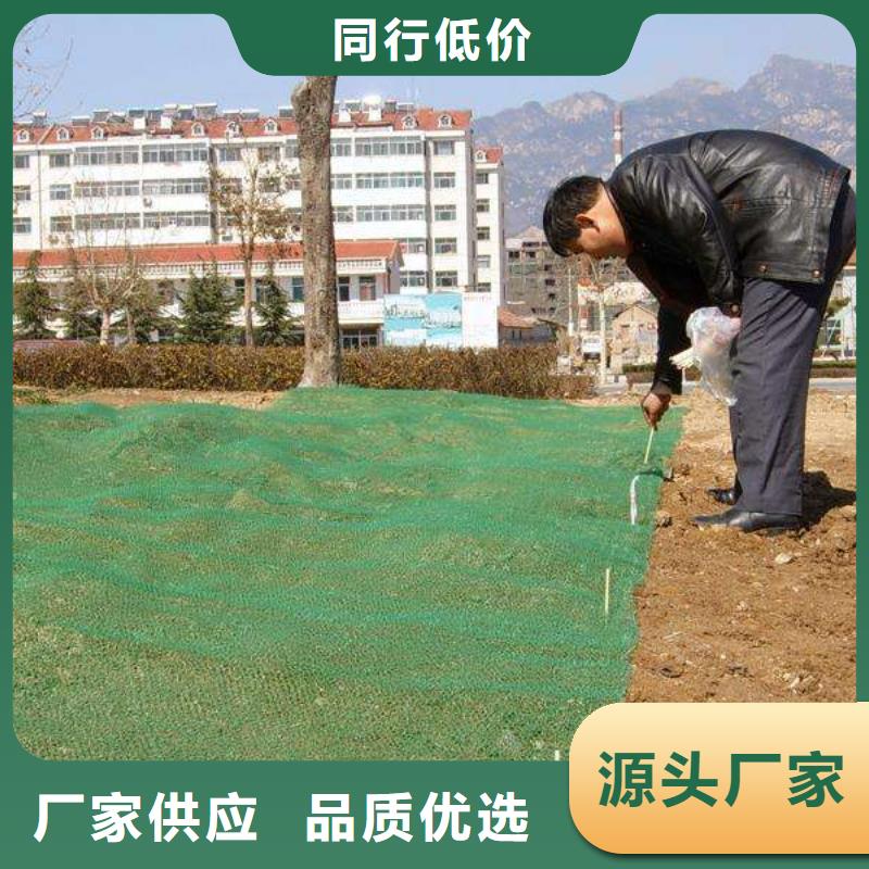 三维植被网-三维植被网厂家-三维植被网价格