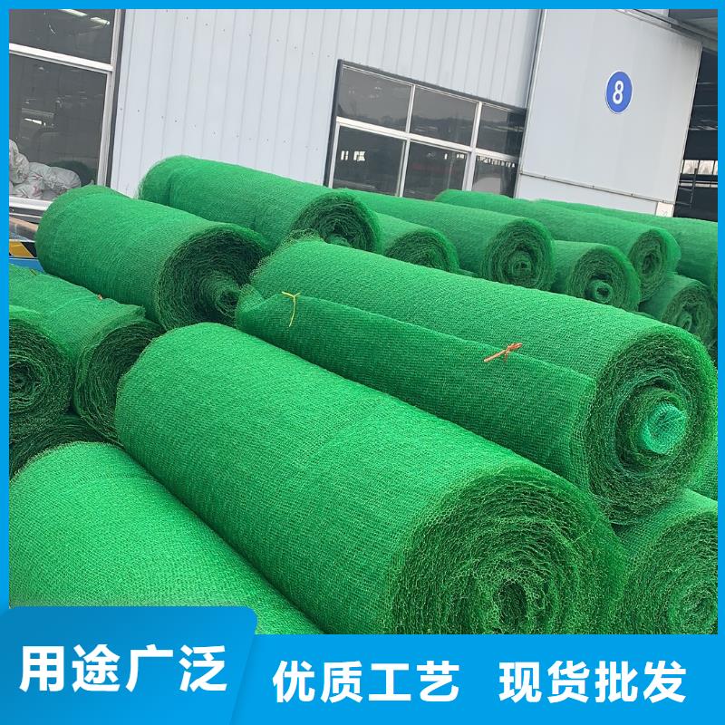 三维植被网-三维植被网厂家-三维植被网价格