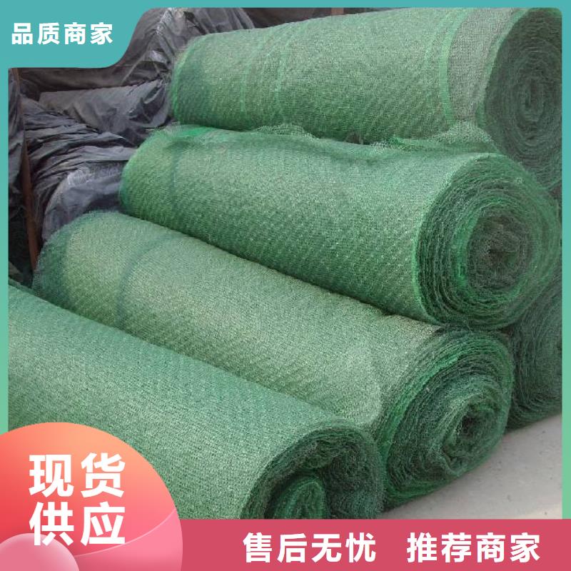 【三维植被网】三维植被网原理,三维植被网施工,特点,图片