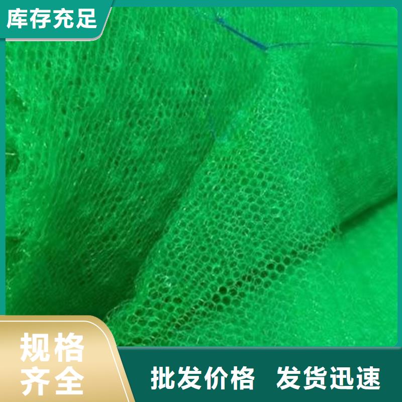 三维植被网-三维植被网厂家-三维植被网价格