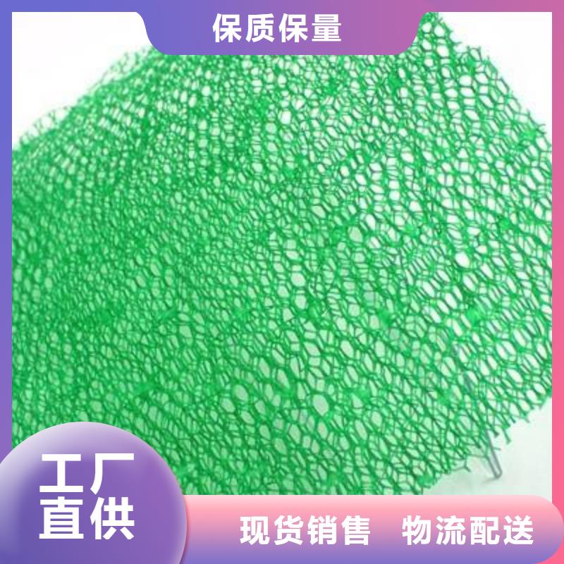 【三维植被网】三维植被网原理,三维植被网施工,特点,图片