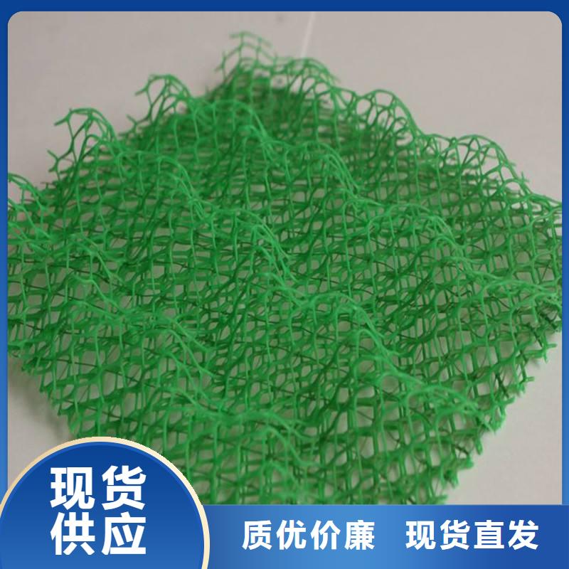 三维植被网-三维植被网厂家-三维植被网价格