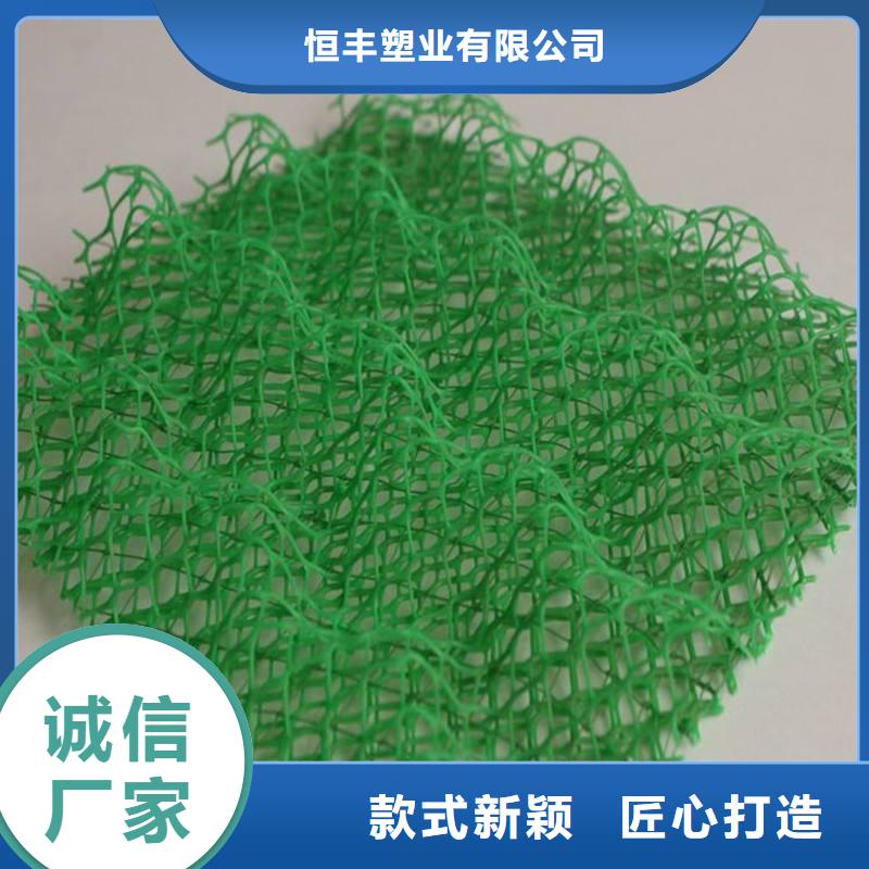 三维植被网单向塑料土工格栅源头厂家经验丰富