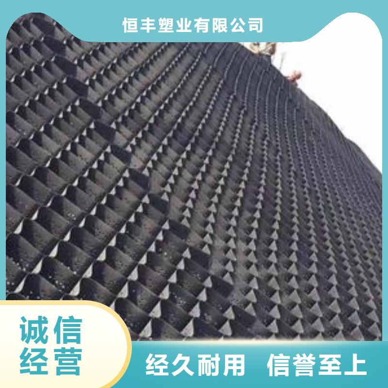 土工格室聚乙烯土工膜优势