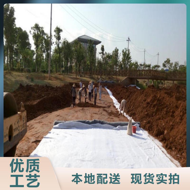 膨润土防水毯(2)-防水毯系列-土工材料生产厂家