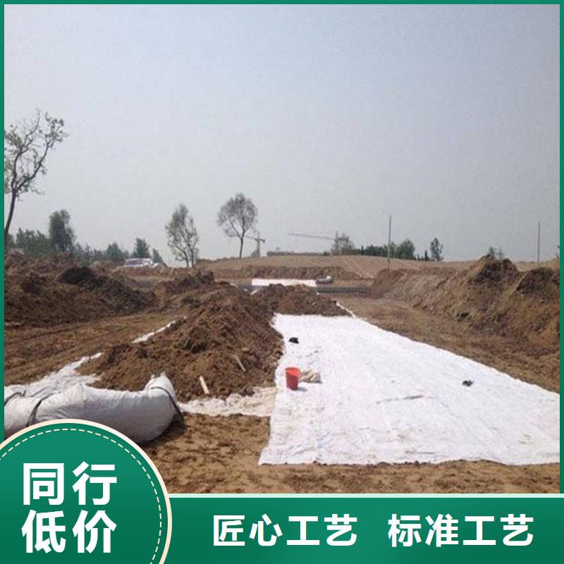 膨润土防水毯(2)-防水毯系列-土工材料生产厂家