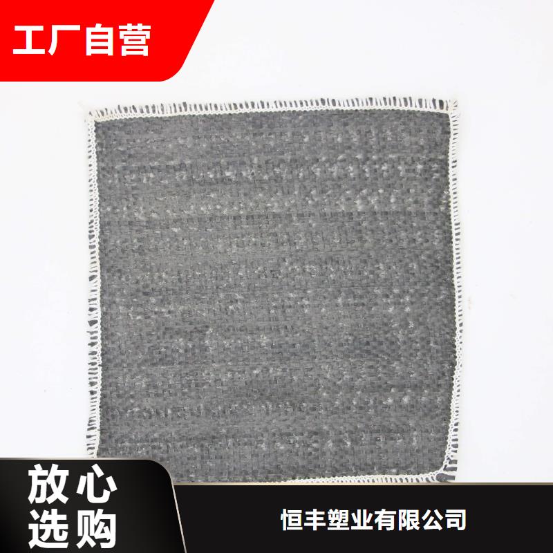 膨润土覆膜防水毯
