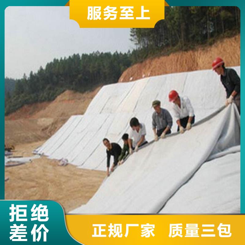 膨润土防水毯规格型号现货发