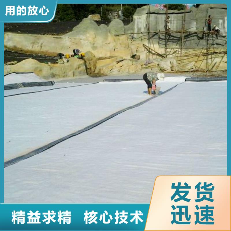 膨润土防水毯_土工膜生产商_HDPE防渗膜价格_土工布厂家