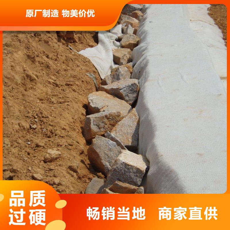 膨润土防水毯厂家直销