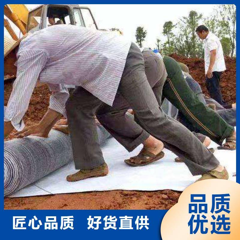 膨润土覆膜防水毯