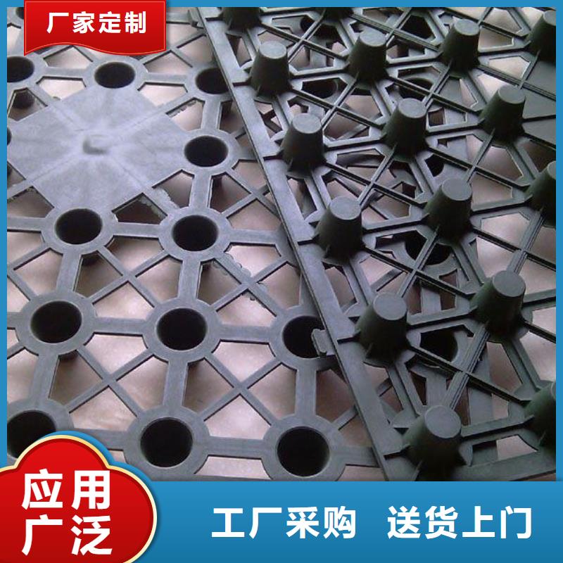 塑料防护排水板】塑料防护排水板价格_塑料凸片排水层