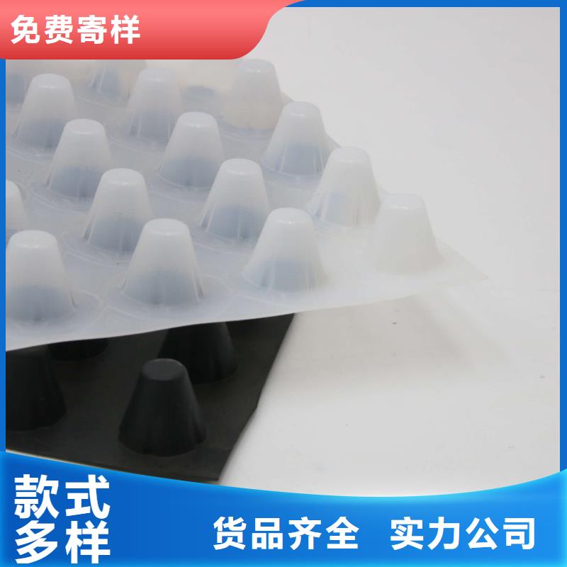 塑料防护排水板】塑料防护排水板价格_塑料凸片排水层