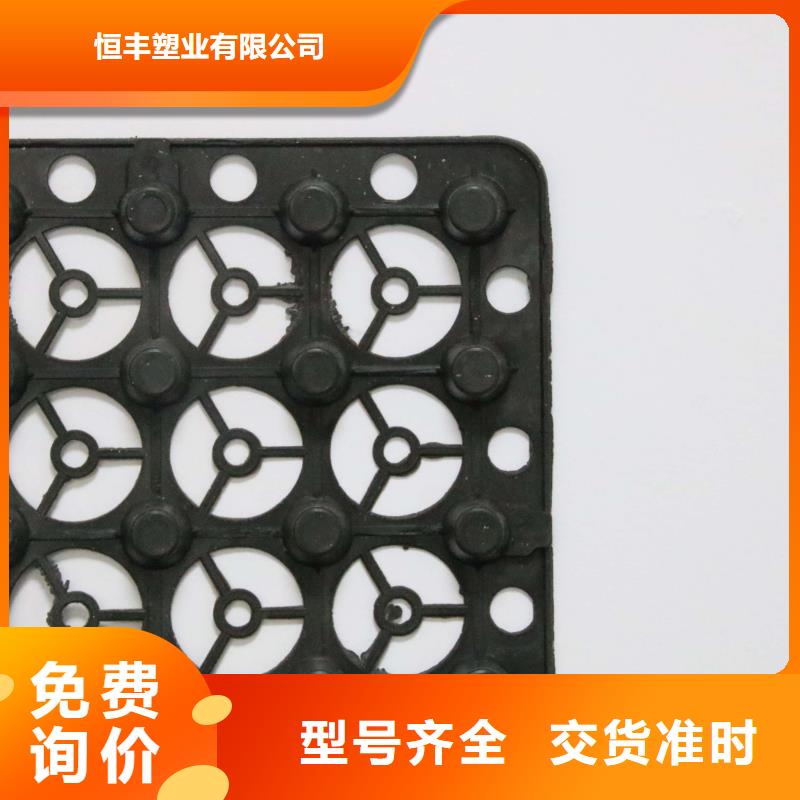 排水板PVC防水卷材用的放心