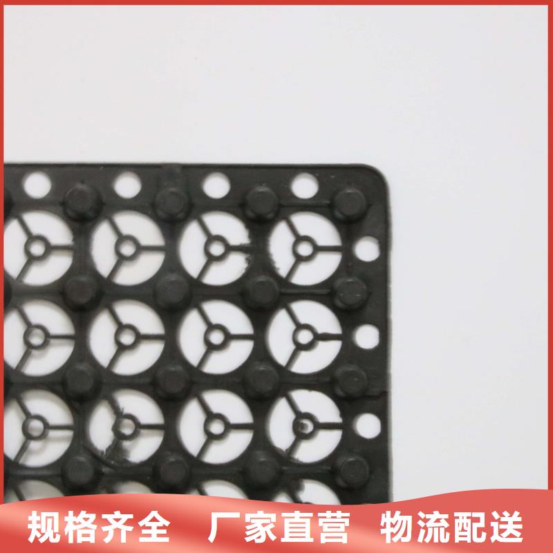 排水板PVC防水卷材用的放心