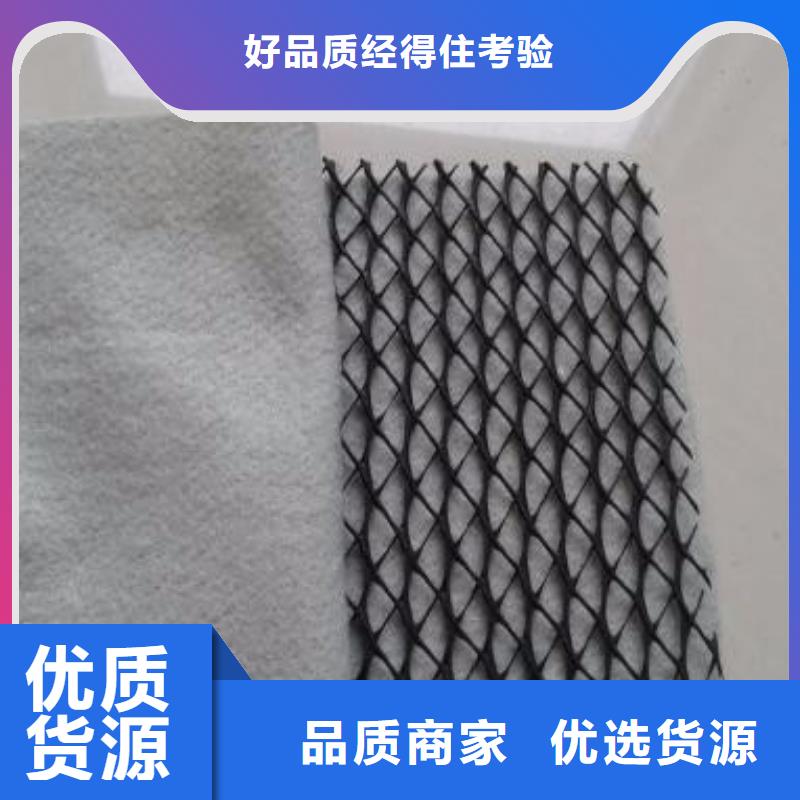 塑料排水网_三维土工排水板_排水网_三维排水网_三维复合排水网