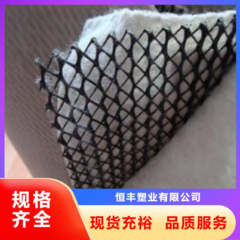 塑料排水网_三维土工排水板_排水网_三维排水网_三维复合排水网