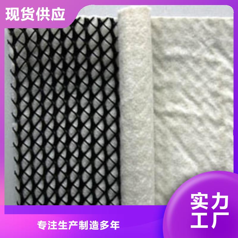 塑料排水网_三维土工排水板_排水网_三维排水网_三维复合排水网