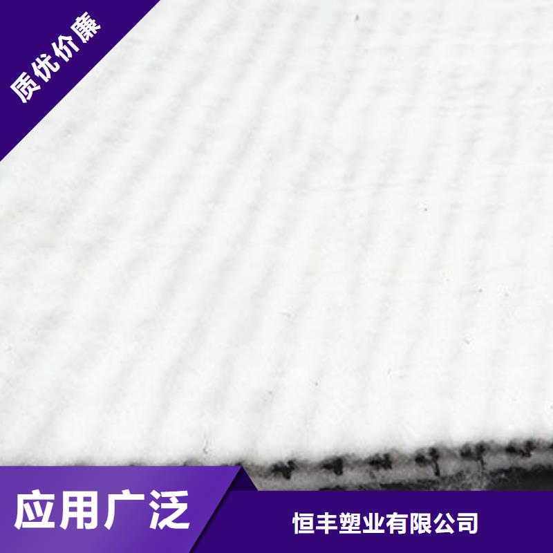 塑料排水网_三维土工排水板_排水网_三维排水网_三维复合排水网