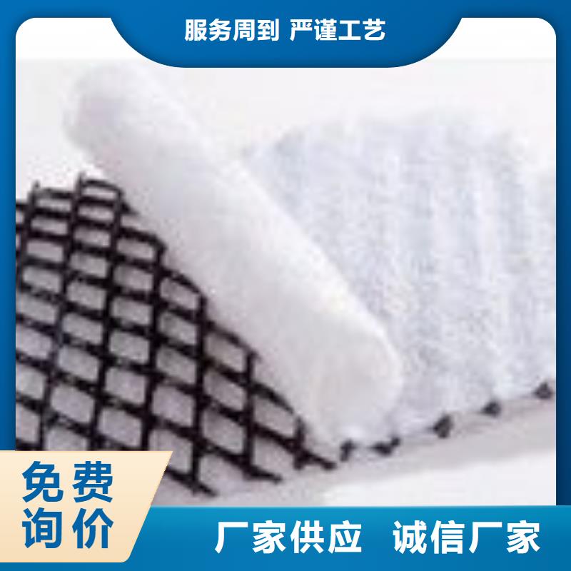塑料排水网_三维土工排水板_排水网_三维排水网_三维复合排水网