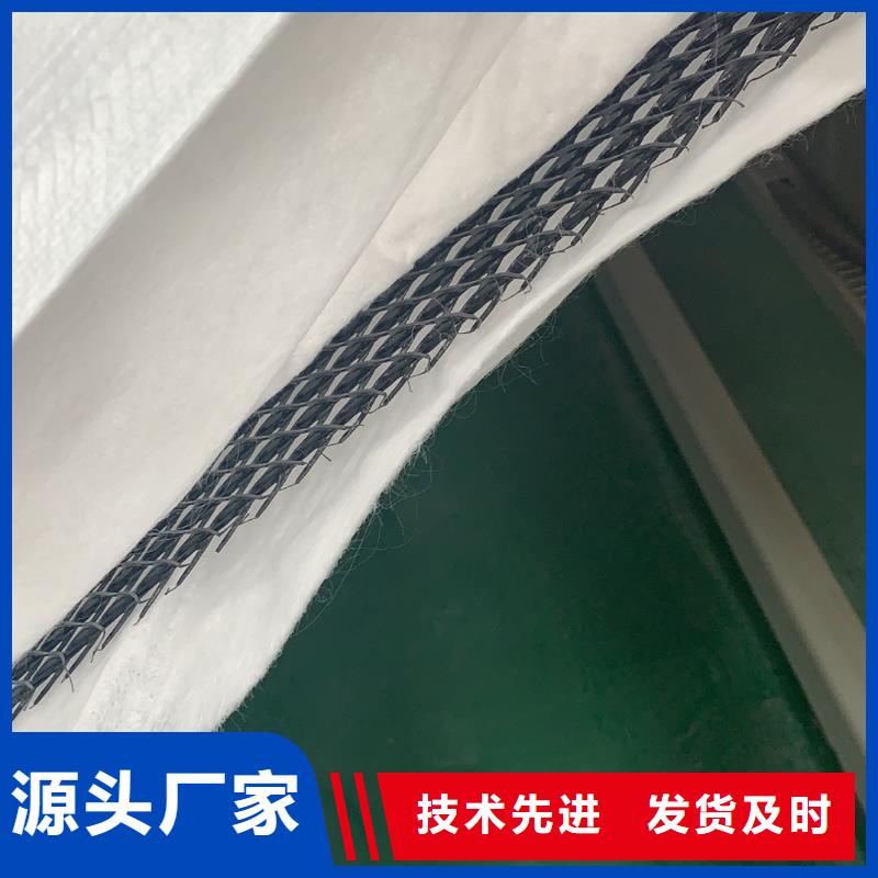 塑料排水网_三维土工排水板_排水网_三维排水网_三维复合排水网