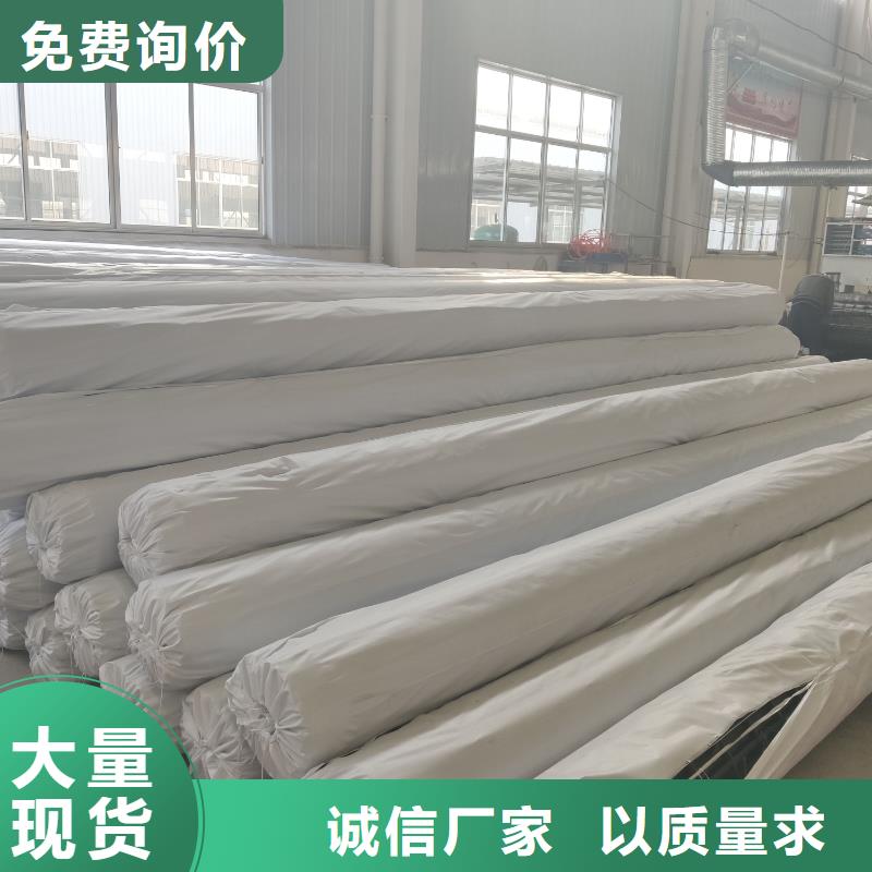钢塑土工格栅HDPE土工膜型号全价格低