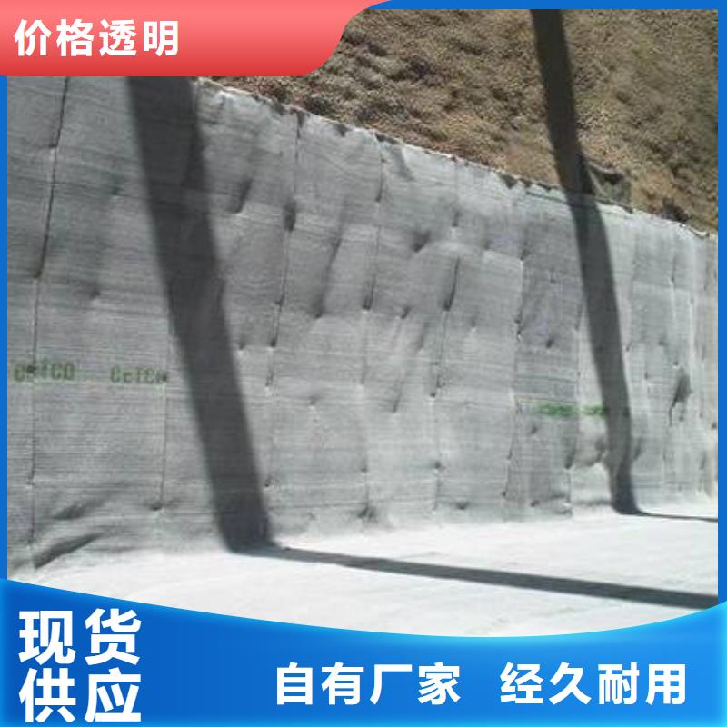 2025膨润土防水毯型号齐全-可定制