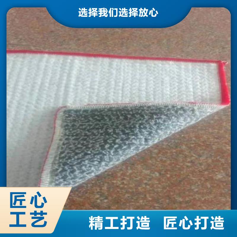 膨润土防水毯【钢塑土工格栅】免费寄样