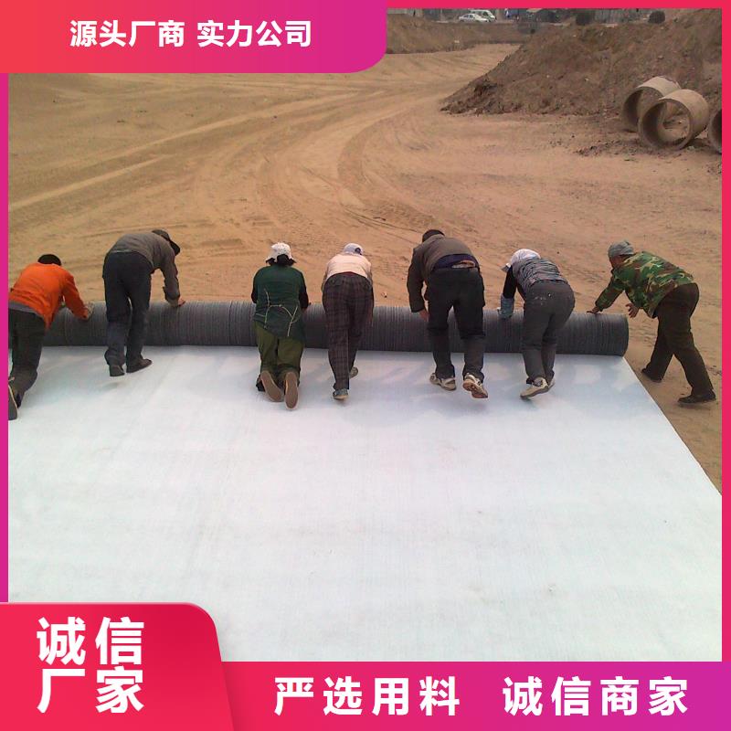 膨润土防水毯【钢塑土工格栅】免费寄样