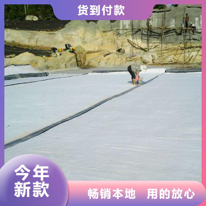 膨润土防水毯养殖膜精工制作