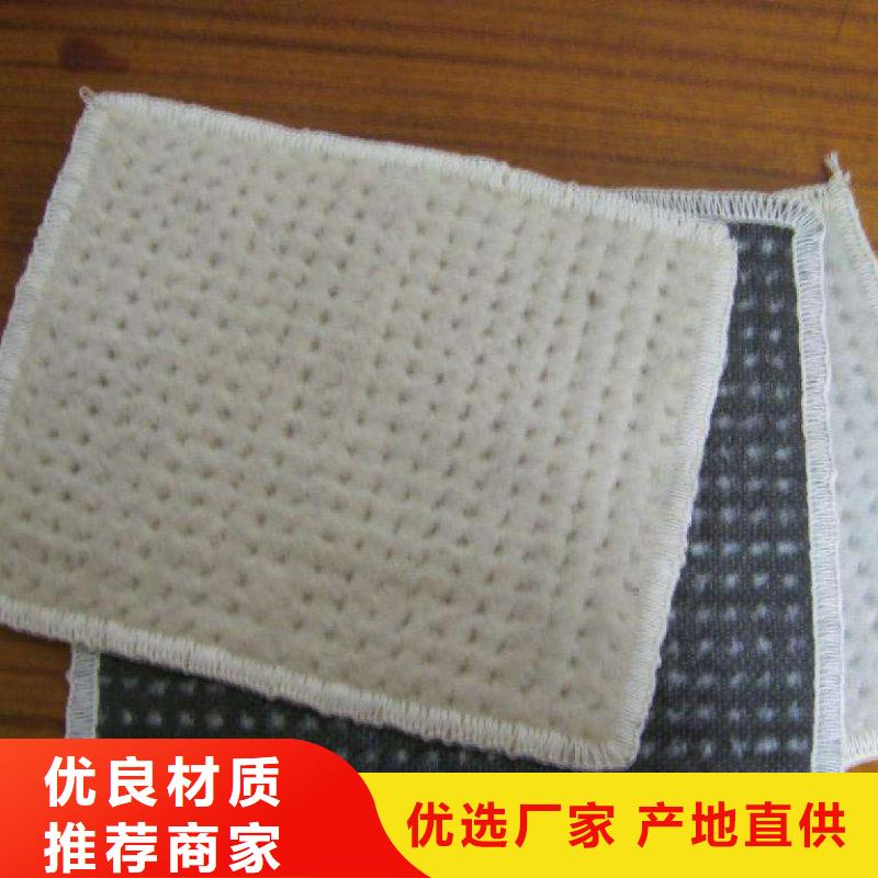 2025膨润土防水毯型号齐全-可定制