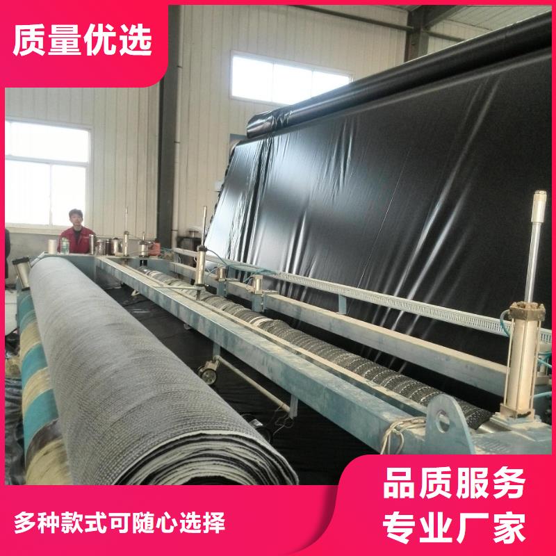 2025垃圾填埋用防水毯生产工艺与施工方法