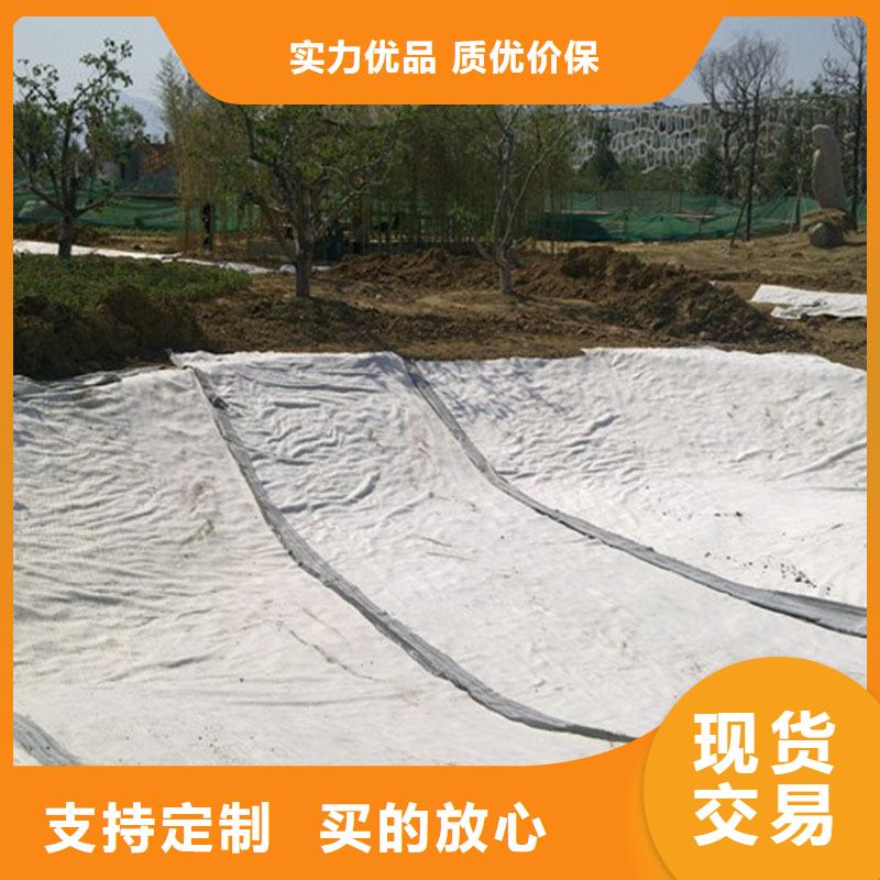 垃圾填埋场用防水毯生产厂家哪家好