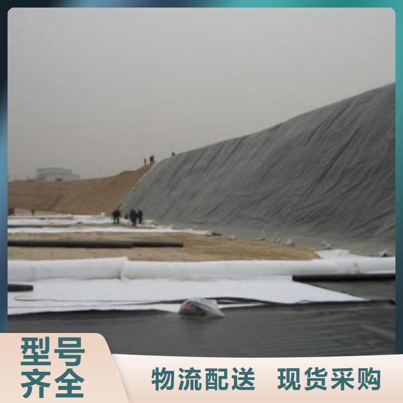 土工膜单向塑料土工格栅批发供应
