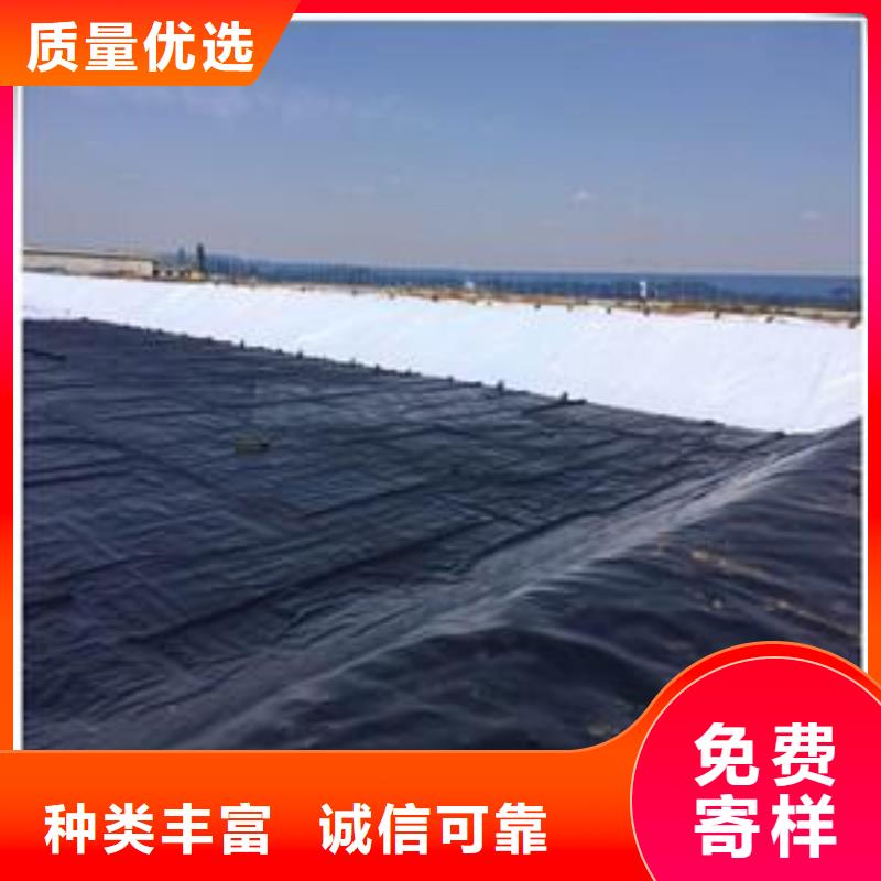 土工膜单向塑料土工格栅批发供应