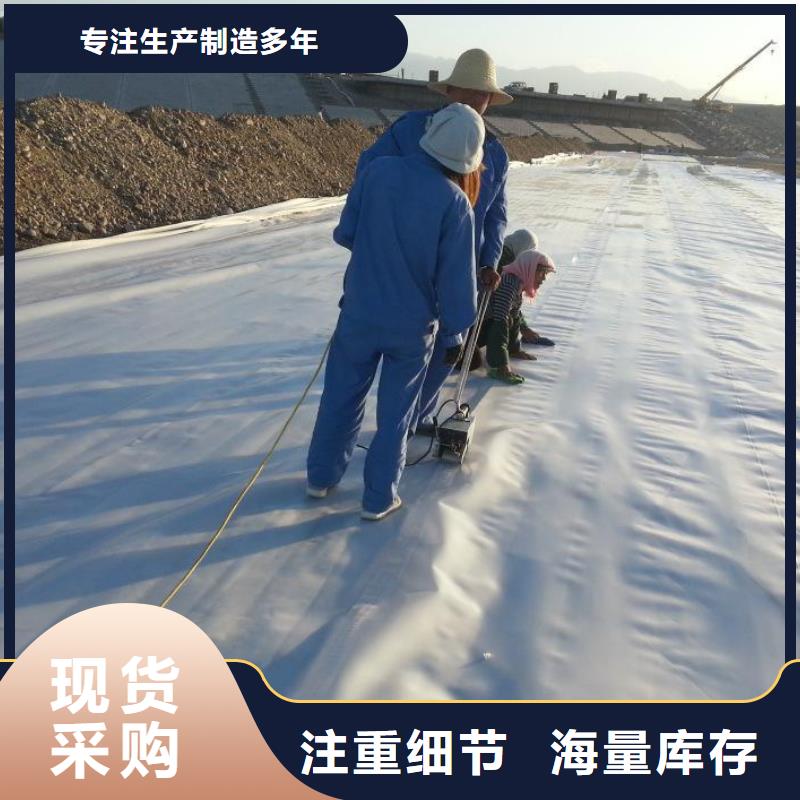 柱点糙面土工膜2025报价