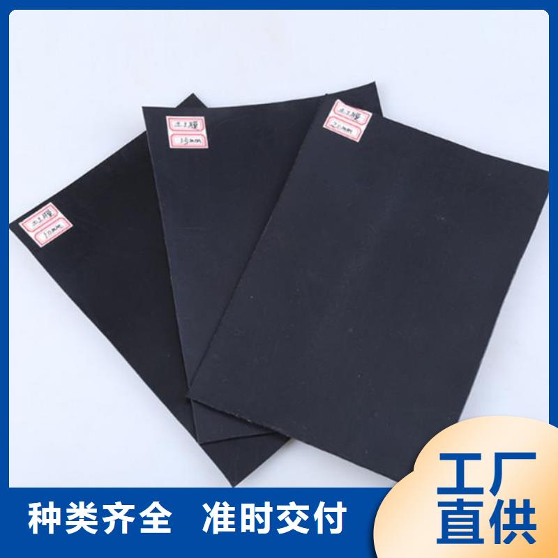 土工膜凸结点钢塑土工格栅注重细节
