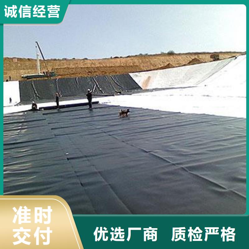 柱点糙面土工膜2025报价