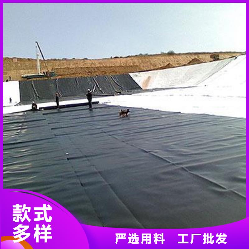 土工膜凸结点钢塑土工格栅注重细节